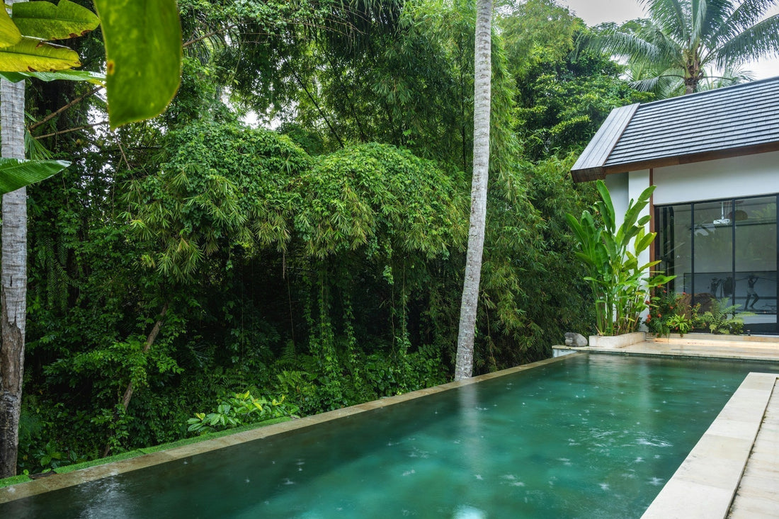 Backyard pool on a rainy day with green vegetation and palm trees