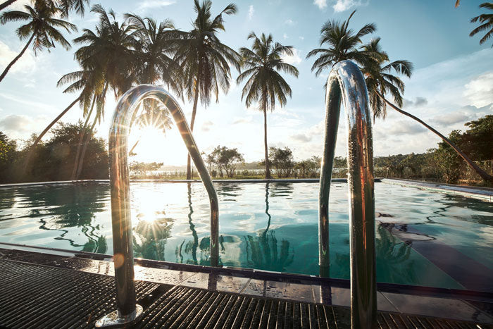 Inground swimming pool with palm trees.